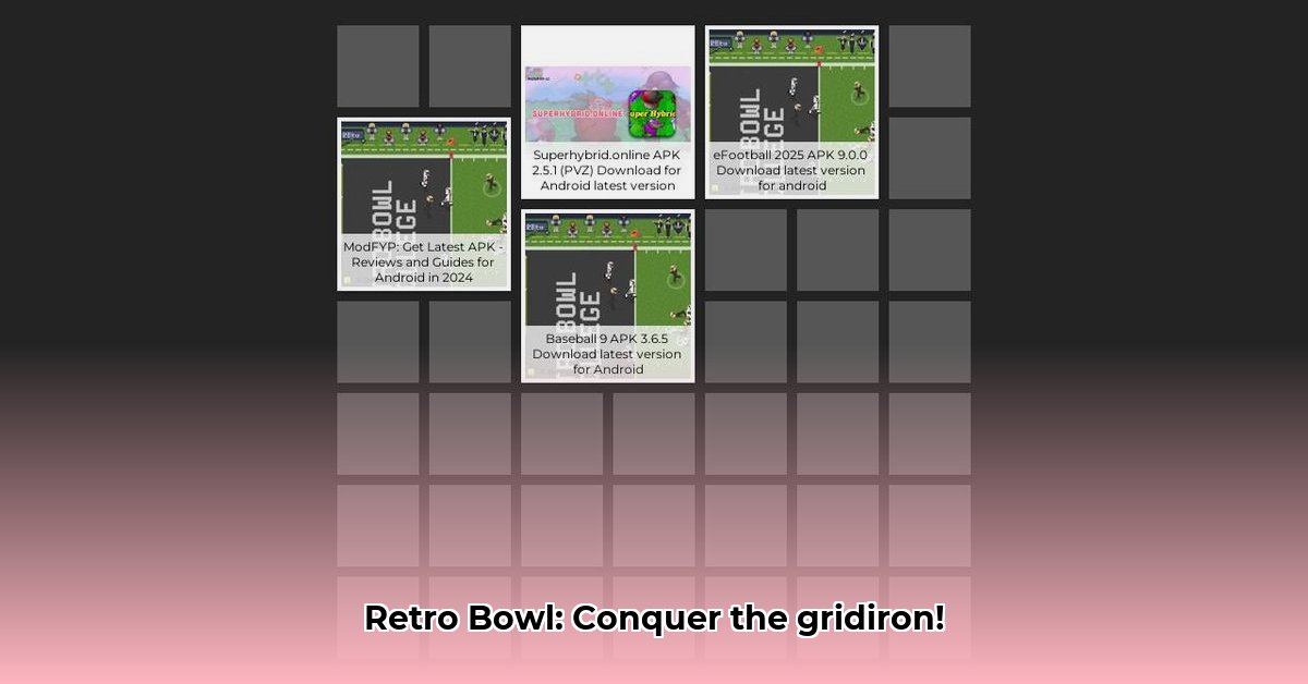 retro-bowl-apk